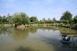 coarse fishing pond 1
