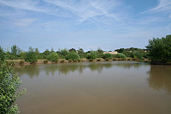 coarse fishing pond 4