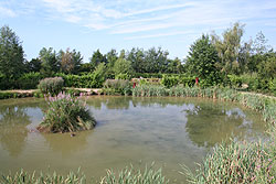 coarse fishing pond 2